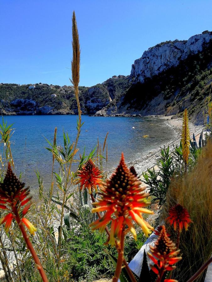 Villa Boho Ibiza Style خافييا المظهر الخارجي الصورة